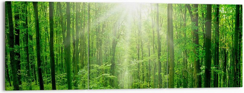 Bild auf Leinwand - Leinwandbild - Sonnenstrahlen Wald Sommer - 150x50cm - Wand Bild - Wanddeko - Leinwanddruck - Bilder - Kunstdruck - Wanddekorat...