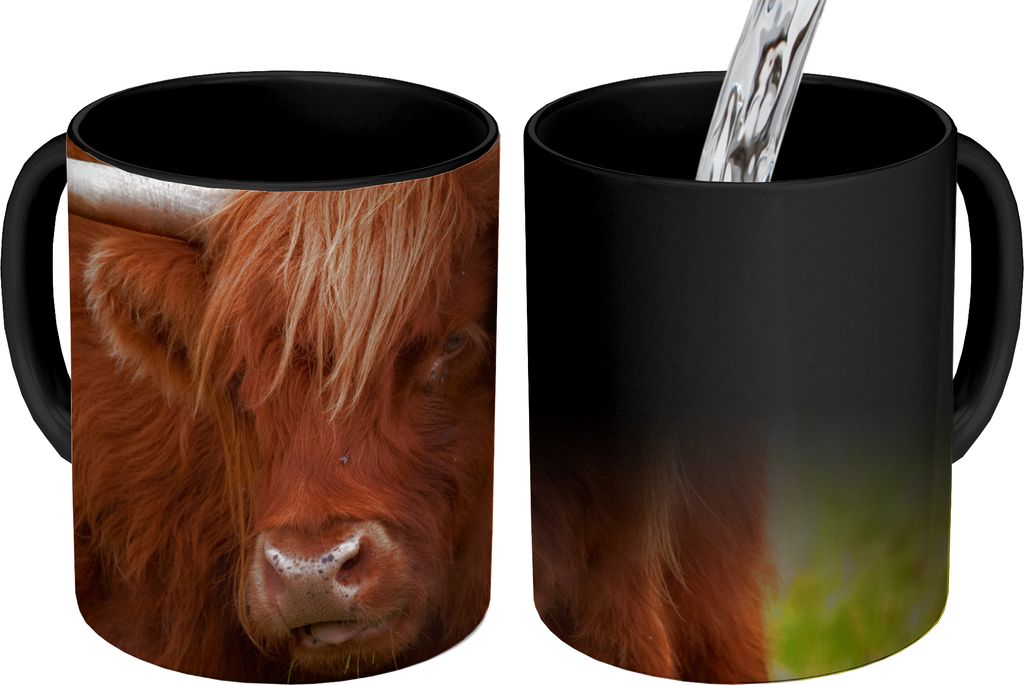 MuchoWow Zauber Tasse Zaubertasse Magic Schottischer Highlander - Orange - Tiere 350 ml Farbwechsel Becher Geschenk Geschenkidee - Magic-Tasse - ...