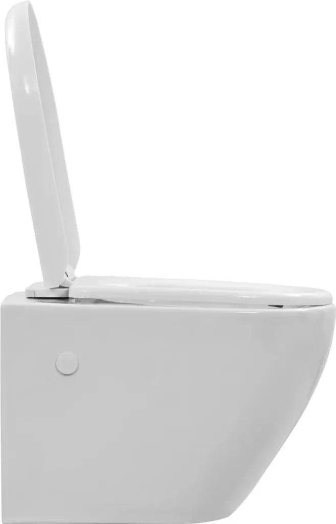 WC suspendu sans bride facile à nettoyer en céramique blanche durable - 4