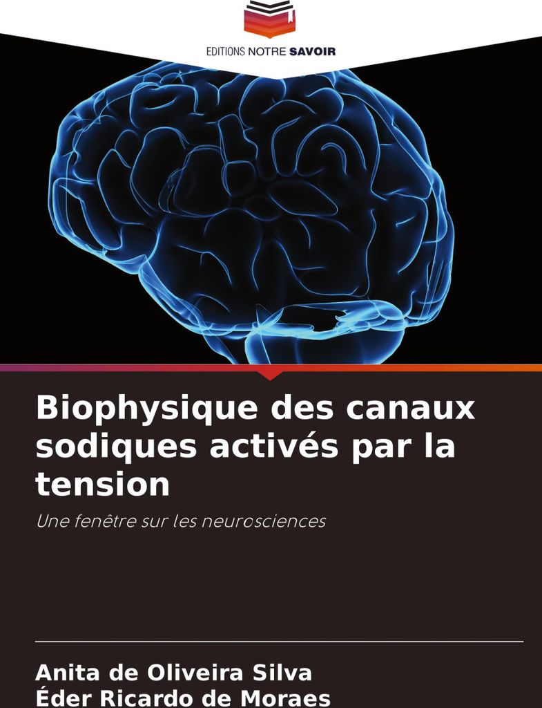 Biophysique des canaux sodiques activés par la tension