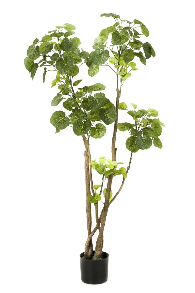 Polyscias Aralia artificiel 140 cm au réalisme exceptionnel vert