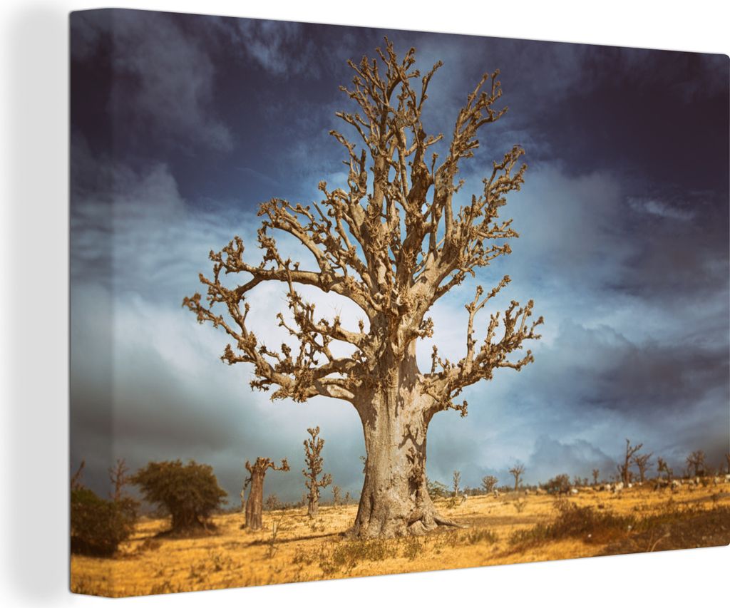 MuchoWow - Leinwandbilder - Riesiger Affenbrotbaum vor einem dunklen Himmel, Wandbild, Wanddeko Bilder Wohnzimmer, 90x60 cm