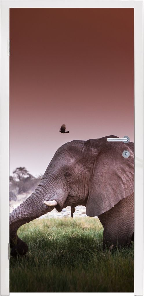 MuchoWow Türtapete Selbstklebende Türfolie Roter Sonnenuntergang über einem Elefanten im Gras 95x235 cm Türposter Türaufkleber Klebefolie T...