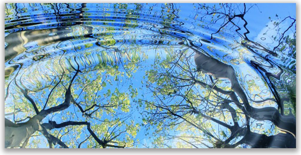 Küchenrückwand aus Glas 140x70cm Spritzschutz Wasser Bäume Kunst