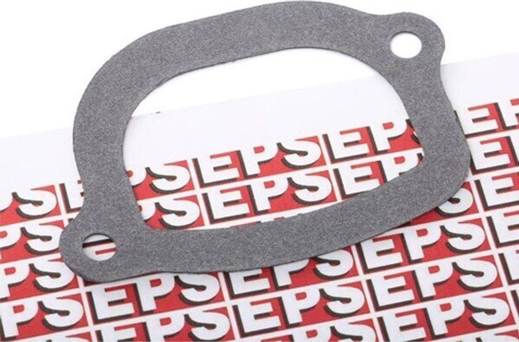 EPS Dichtung Thermostat 1.890.505 für FIAT PANDA (169)