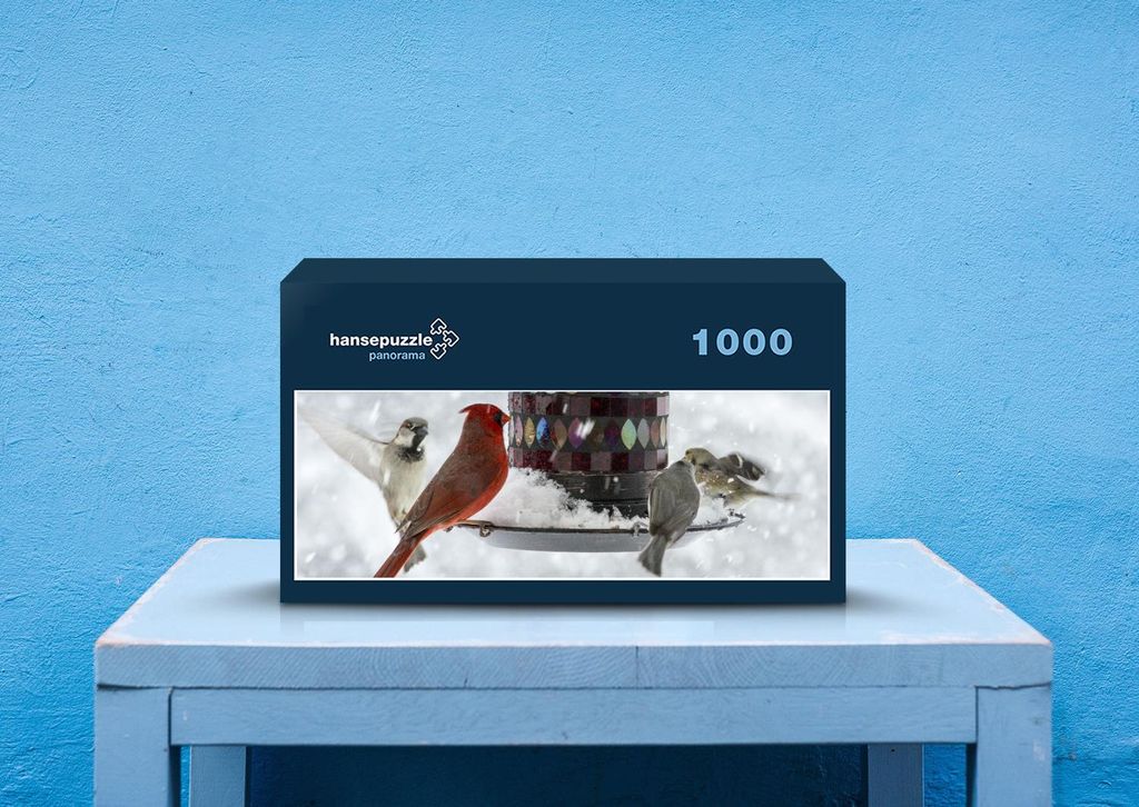 hansepuzzle 42747 - Winter Puzzle, 1050 Teile, Tierwelt, 60,0 x 46,0cm mit hochwertiger Aufbewahrung, Kartonbox und wiederverschließbarem Beutel