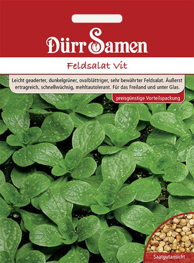 Dürr-Samen - Feldsalat Vit (Vorteilspackung) - Saatgut - 1261