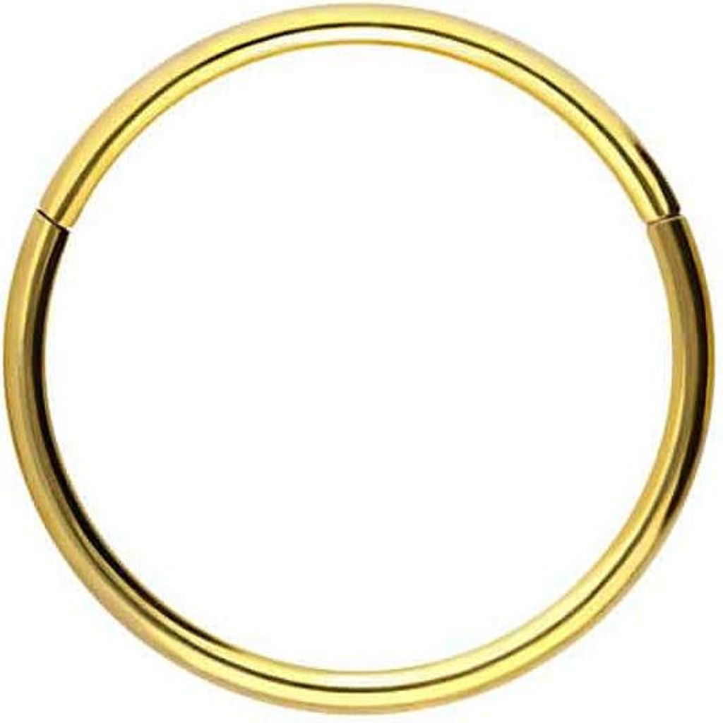Ohrpiercing, Nasenpiercing, Septum Piercing Titan Segmentring Clicker Gold Innendurchmesser: 9mm + Stabstärke: 0,8mm