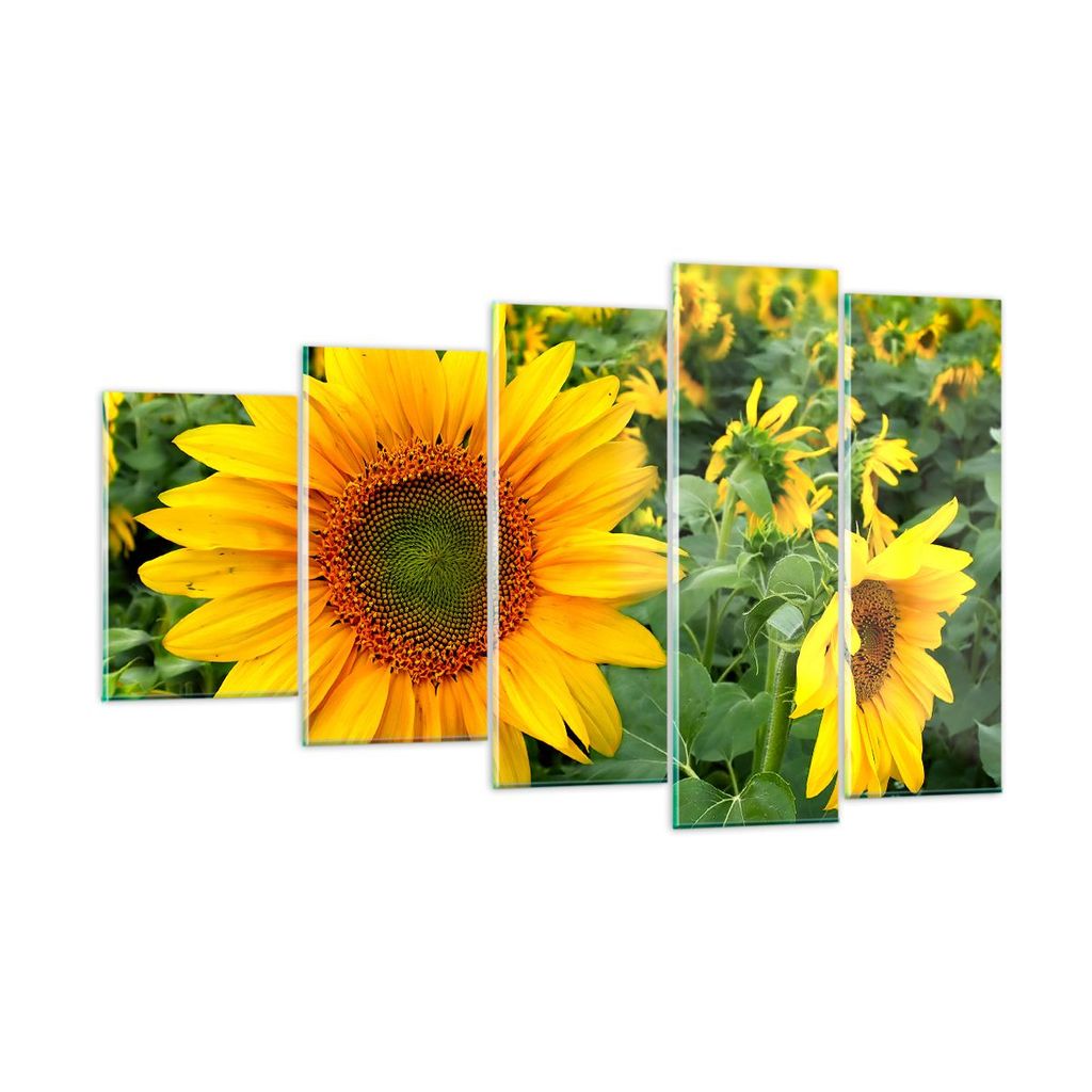 Bilder auf glas - Wolken Sonnenblumen Plantagen - 100x60cm - Glasbilder - Wandbilder - Kunstdruck - zum Aufhängen bereit - Wanddekoration aus Glas...
