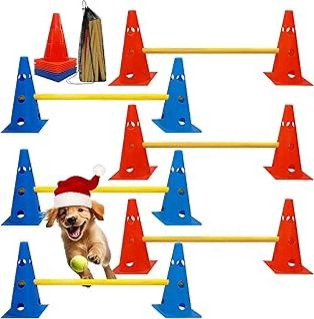OFFERTA Set Agility Dog: 12 Coni + 6 Pali | Prezzo Imbattibile!