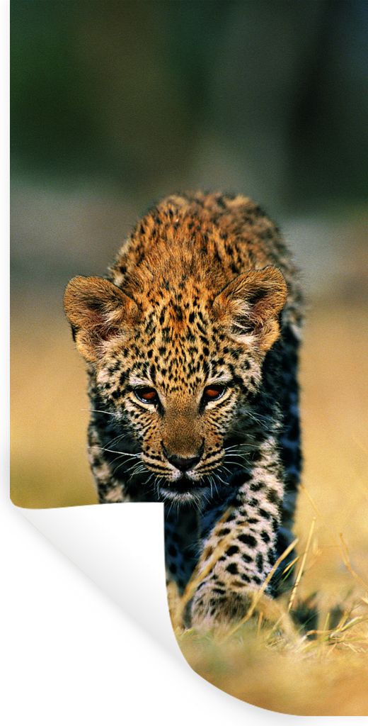 MuchoWow Wandtattoo Wandsticker Wandaufkleber Leopard - Makro - Gras 20x40 cm Selbstklebend und Repositionierbar - Selbstklebend - Fototapeten