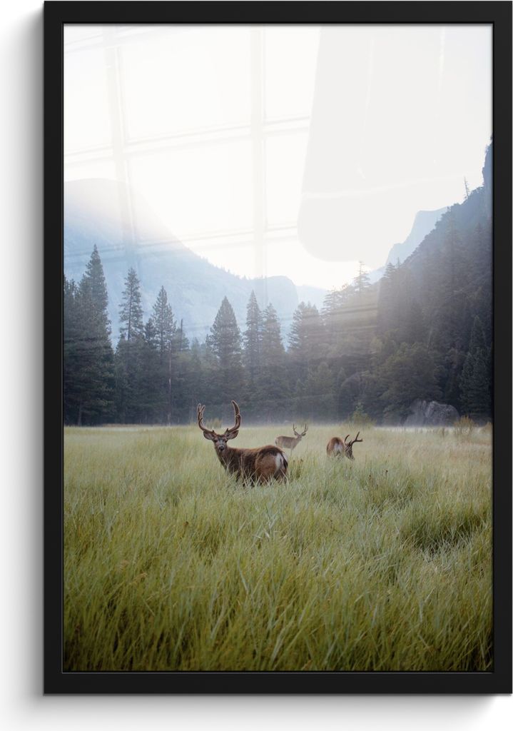 MuchoWow MuchoWow Gerahmtes Poster Wald - Hirsche - Nebel 40x60 cm - Poster mit zchwarzem Bilderrahmen - Papierdruck - Wandbilder