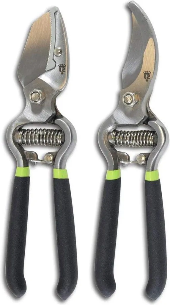 Ciseaux de taille 8K ergonomiques vert et argent avec lames en acier