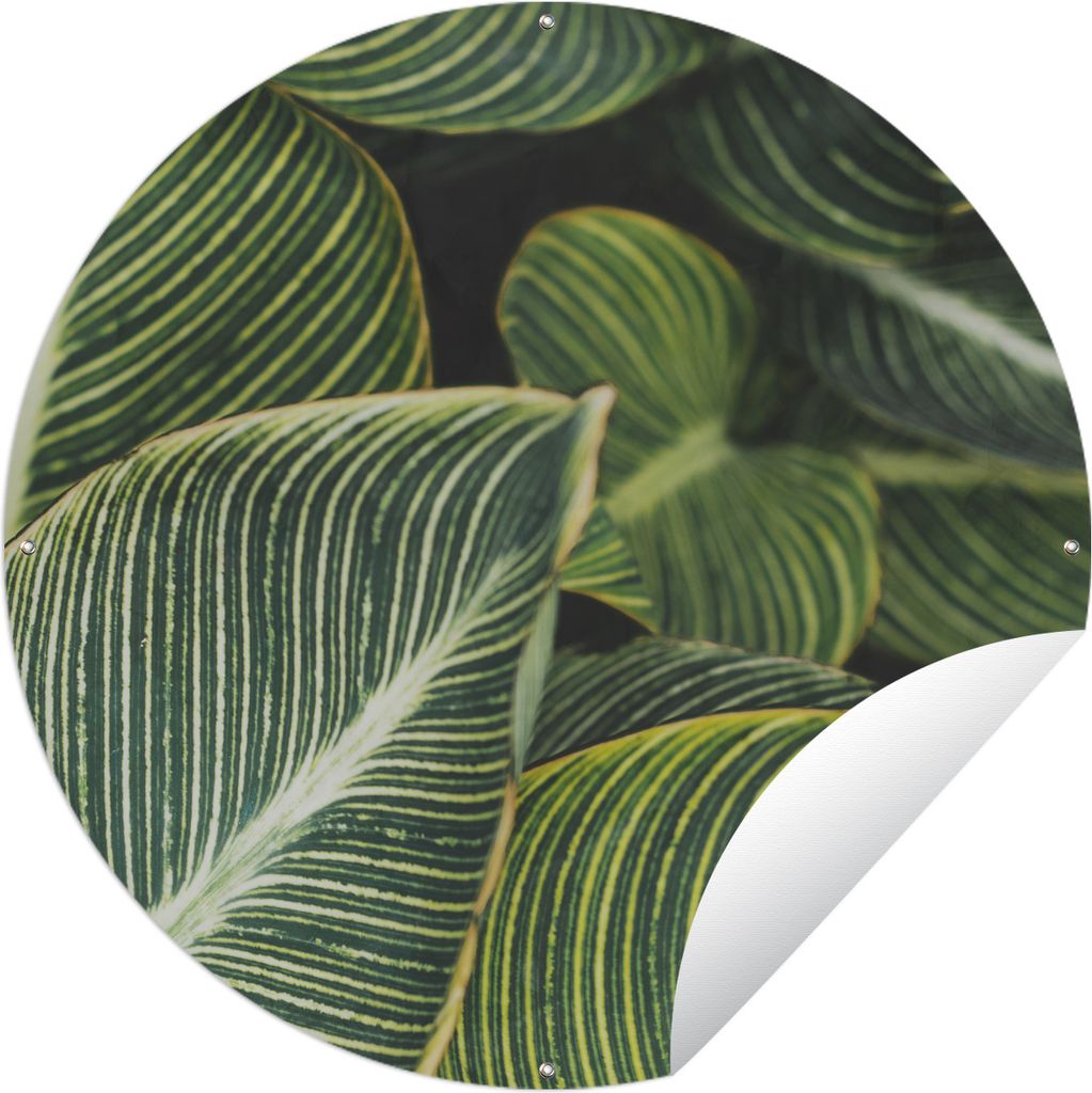 MuchoWow Gartenposter Outdoor-Poster Rund Blätter - Pflanzen - Natur Ø 60 cm Gartendeko Rundes Poster draußen