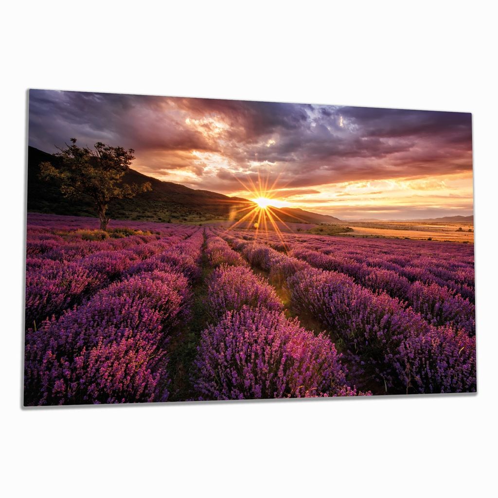 Wallario Herdabdeckplatte aus Glas, Größe 80 x 52 cm 1-teilig, Motiv Lavendelfeld bei Sonnenuntergang - Sonnenstrahlen