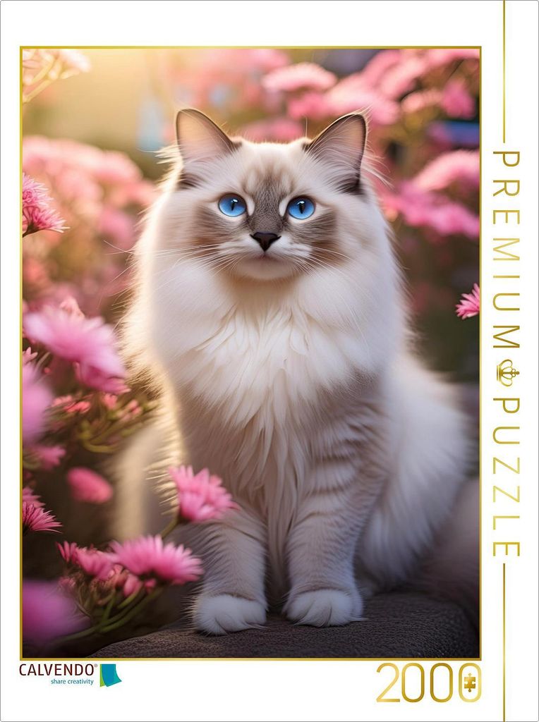CALVENDO Puzzle Ein Motiv aus dem Kalender Pfotenabenteuer - Ragdolls in der Natur | 2000 Teile Lege-Größe 90x67cm Foto-Puzzle für glückliche S...