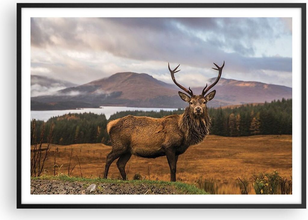 Gerahmtes Poster - Schwarzer Rahmen - Rehe Wiese Berge - 100x70 cm - Wand Bild - Wanddeko - Wandbilder - Kunstposter - Wandposter - Bilderrahmen - ...