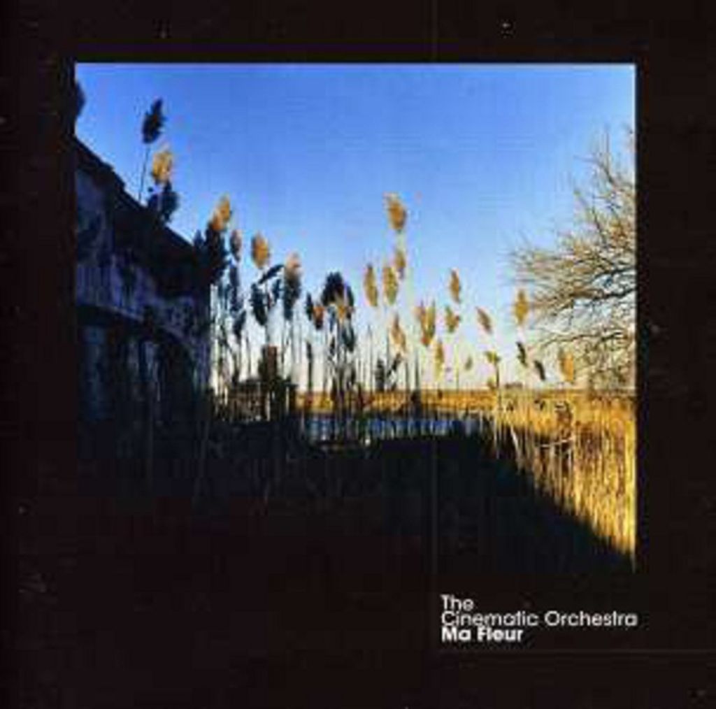 Cinematic Orchestra,The-Ma Fleur