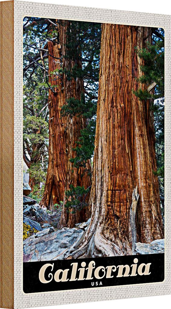 Holzschild Reise 20x30cm California Amerika Natur Wald Bäume