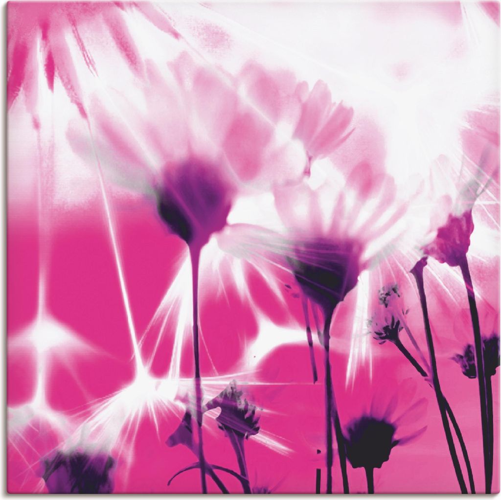 ARTland Leinwandbild Pusteblume abstrakt Größe: 40x40 cm