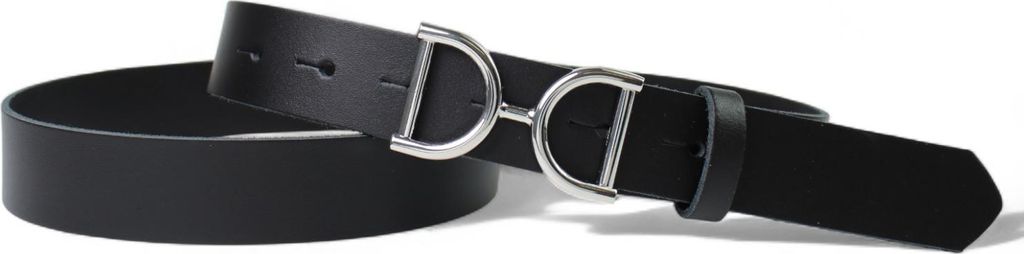 FRONHOFER Ledergürtel Damen 3 cm, Schmuckschnalle, glänzend silber, echt Leder