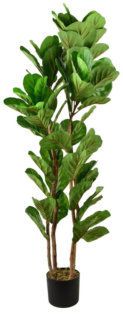 Kunstpflanze Kunststoff Mondex Viridis Ficus 150 cm Grün 1 Stück