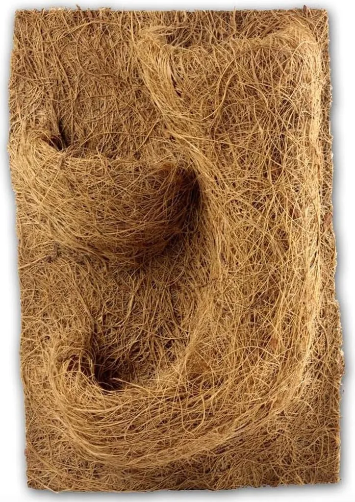 Plaque de décor naturel pour terrarium humide et vivant - 20 x 30 cm