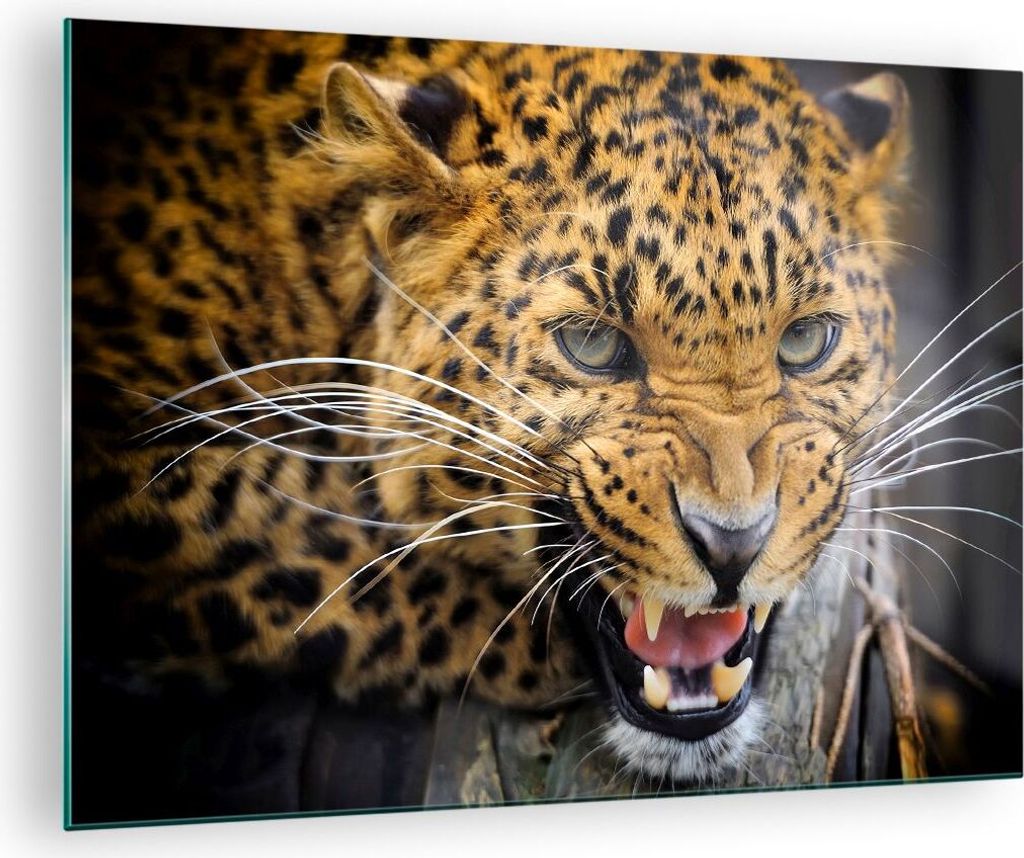 Bilder auf glas - Leopard tier savanne afrika - 70x50cm - Glasbilder - Wandbilder - Kunstdruck - zum Aufhängen bereit - Wanddekoration aus Glas - ...