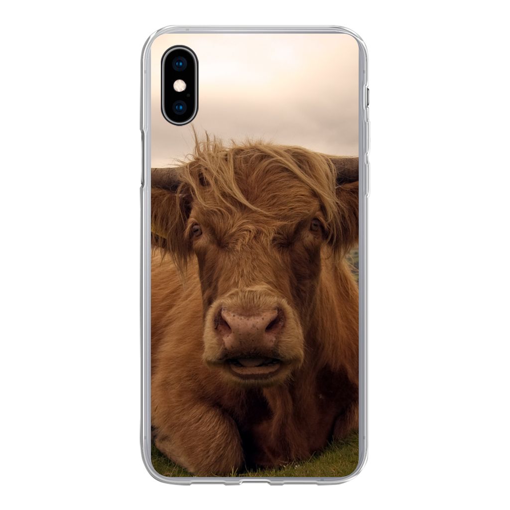 MuchoWow Handyhülle Schutzhülle Hülle für iPhone Xs Schottischer Highlander - Tiere - Berg Silikon Softcase Handy Hülle - Handytasche