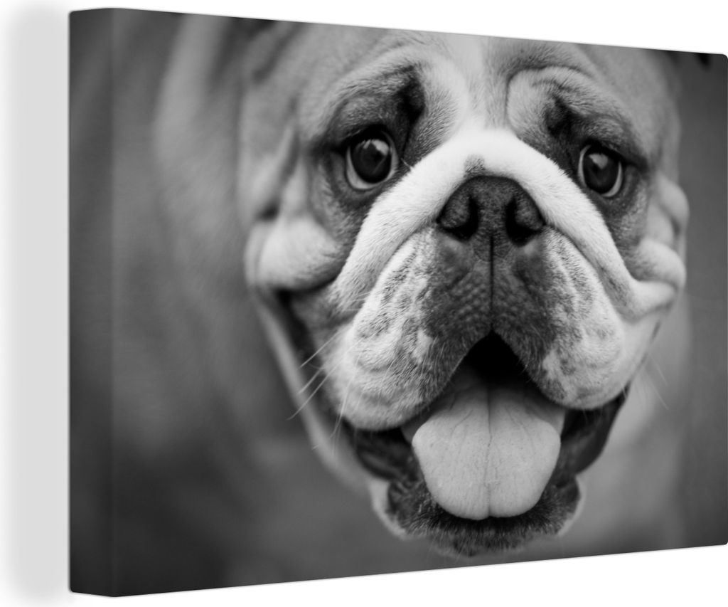 OneMillionCanvasses - Leinwandbilder - 140x90 cm, Tierprofil Bulldogge in schwarz und weiß, Wandbilder Kunstdruck Wanddekoration