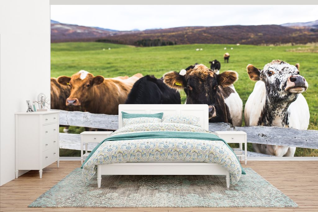 MuchoWow Fototapete für Wohnzimmer oder Schlafzimmer Wandtapete Vinyl Motivtapete Tiere - Kuh - Zaun - 500x280 cm - Fototapeten