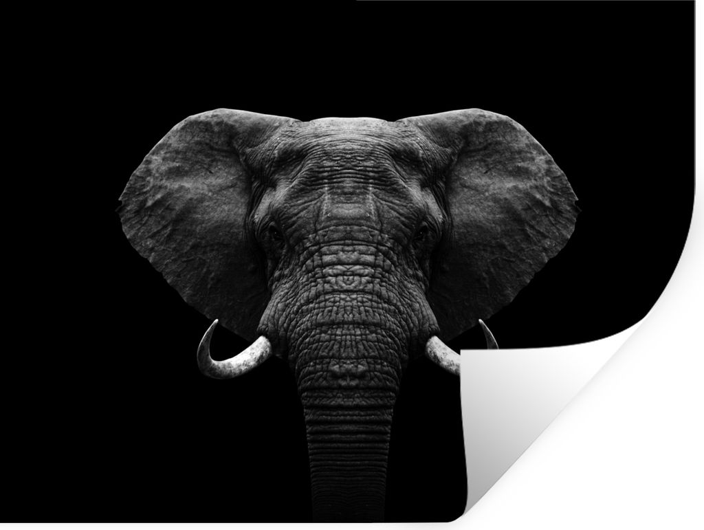 MuchoWow Wandtattoo Wandsticker Wandaufkleber Tiere - Elefant - Porträt - Schwarz - Weiß 40x30 cm Selbstklebend und Repositionierbar - Faltenfrei