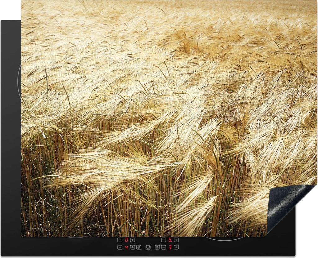 KitchenYeah Herdabdeckplatte Ein Getreidefeld von oben , 65x52cm, Küche Deko, Glaskeramikfeld Herdabdeckung, Abdeckplatte fùr Kochfeld