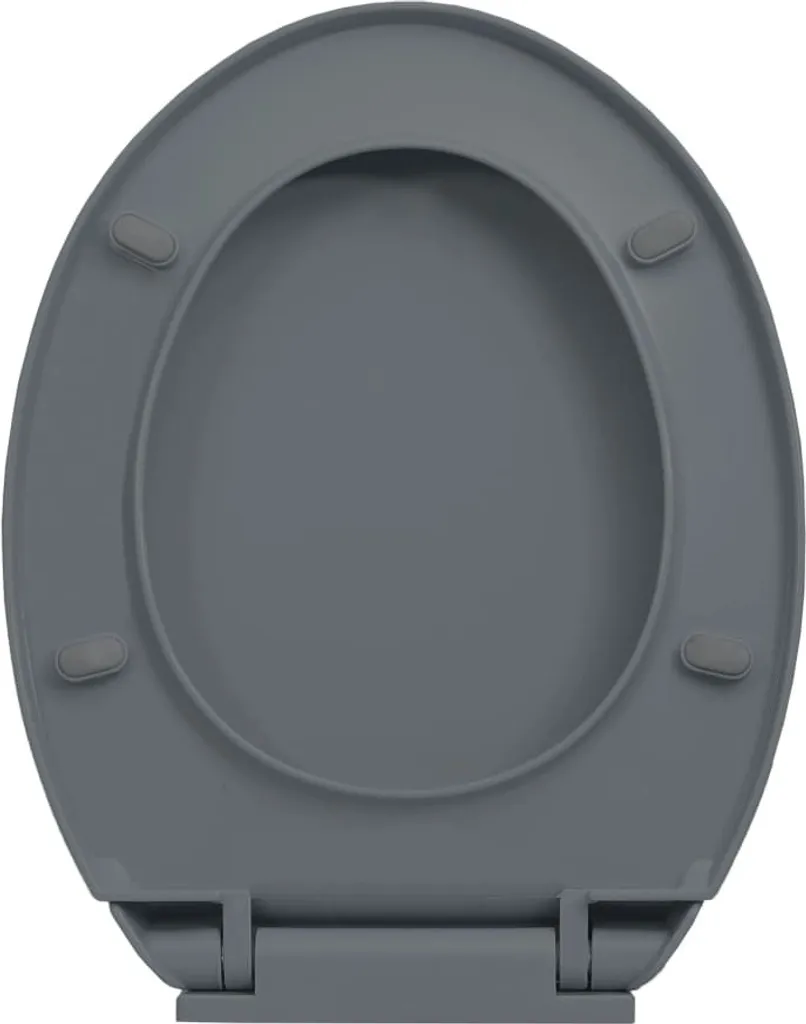 Abattant WC avec Frein de Chute Soft-Close et Système de Retrait Rapide