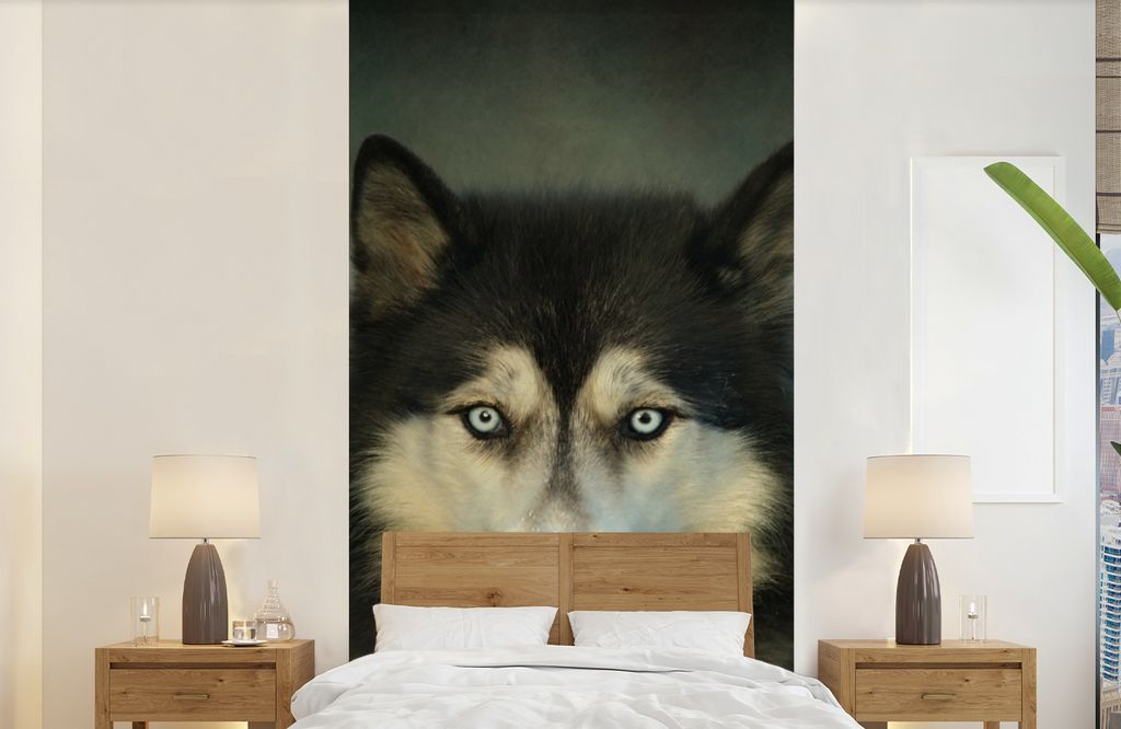 MuchoWow Fototapete für Wohnzimmer oder Schlafzimmer Wandtapete Vinyl Motivtapete Husky schaut in die Kamera - 120x240 cm - Hintergrundbild
