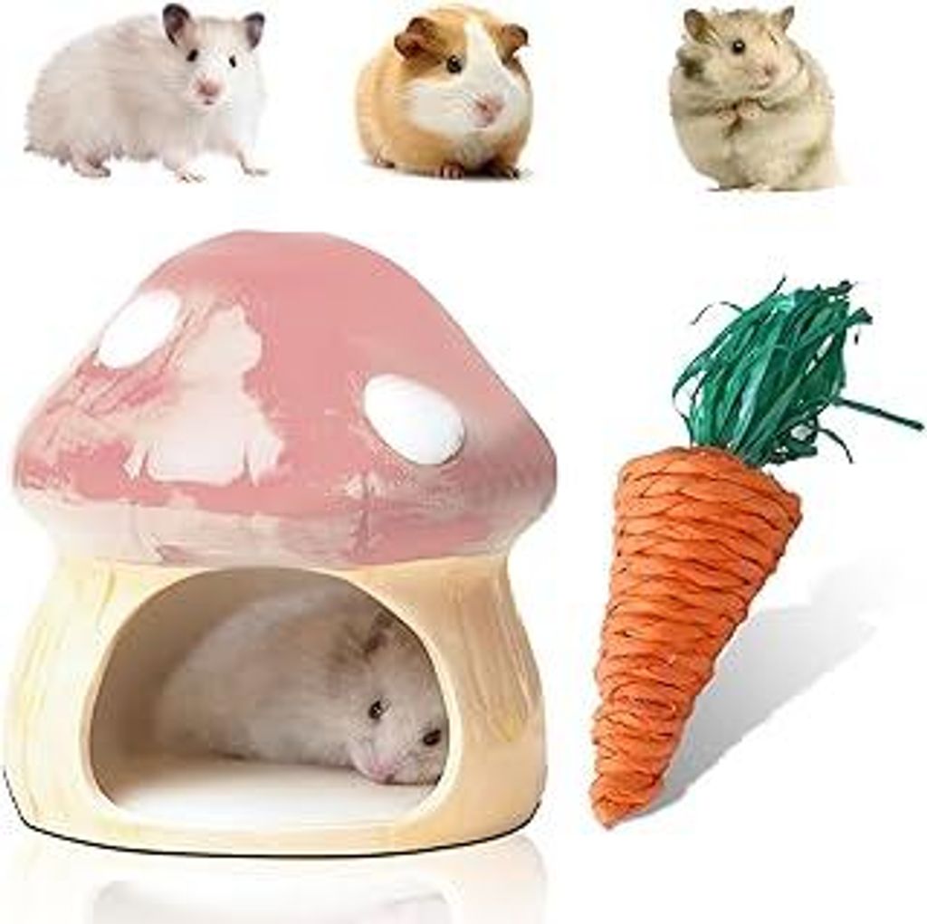 Nizirioo Einzigartige Hamster Haus Keramik: Durable Hamster Versteck, Hamsterhaus und Zahnspielzeug Tunnel in Pilzförmiges Großen Eingängen für...