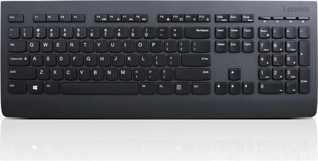 Clavier d'Ordinateur Sans Fil Lenovo Professional Noir USB Layout SK