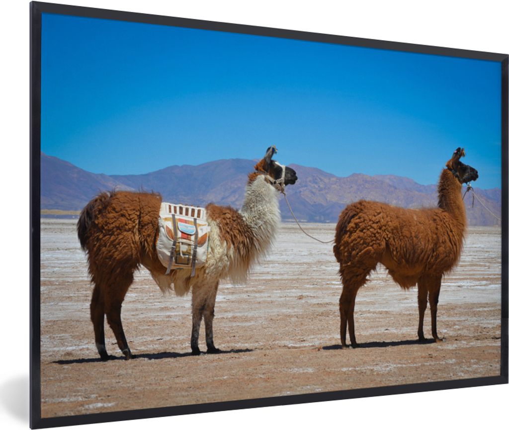 MuchoWow MuchoWow Gerahmtes Poster Lama - Wüste - Berge 60x40 cm - Poster mit zchwarzem Bilderrahmen - Printing - Wanddeko Schlafzimmer