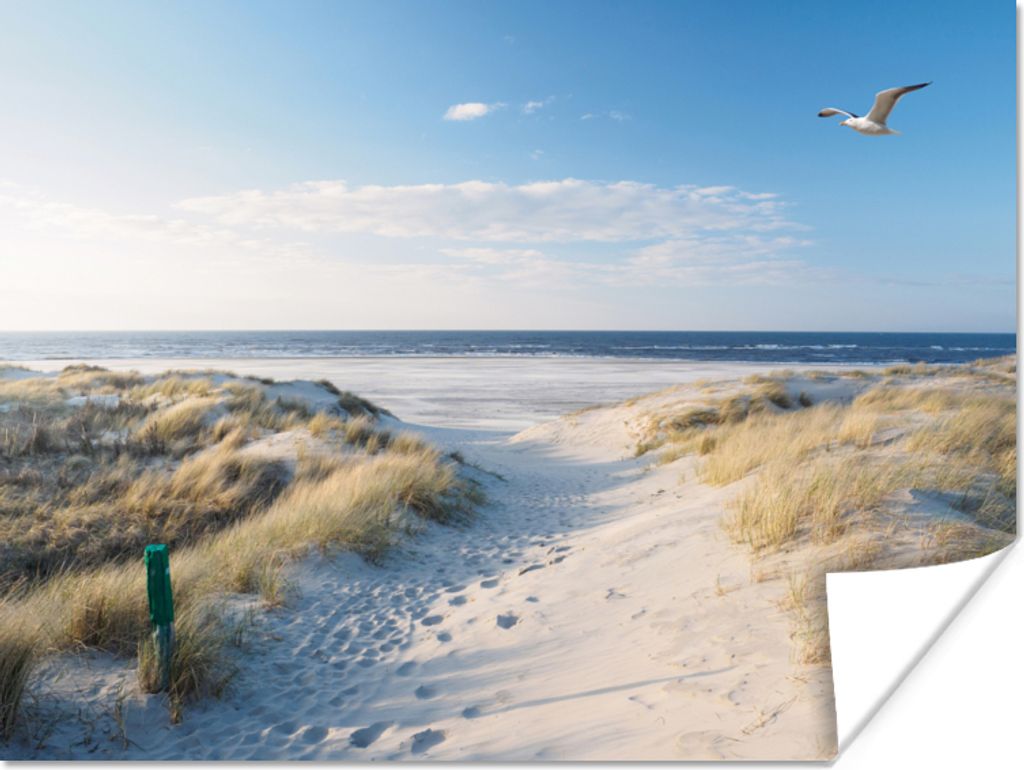 MuchoWow Poster Düne - Möwe - Strand - Meer - Sonne 120x90 cm - Wandbild