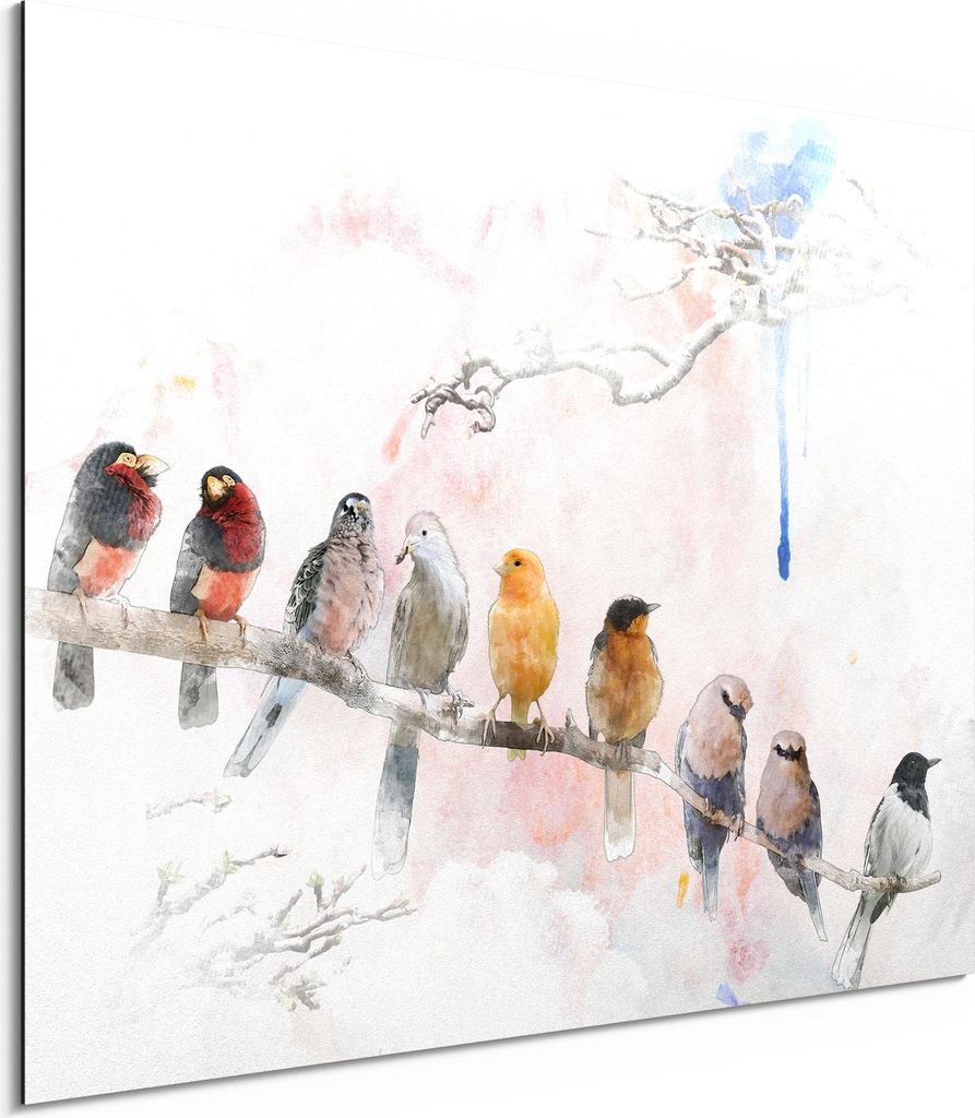 DEQORI Alu-Dibond Bild Weiß 40x30 cm 'Vögel auf einem Ast' Wandbild Metall dünn Design