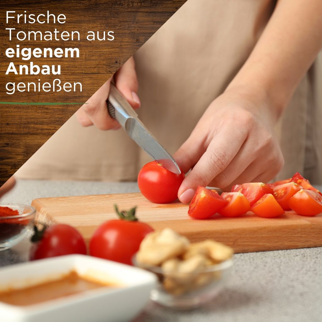 Tomatensamen Set - 10 Sorten Samen - Saatgut Sortiment - Produktbild 6
