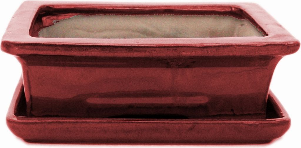 Bonsai-Schale mit Unterteller Gr. 3 - Rot - eckig - Modell G29 - L 18cm - B 13cm - H 6cm
