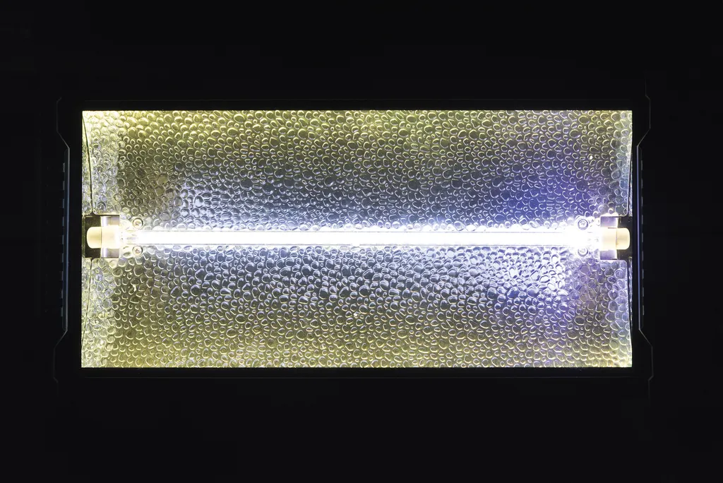 Évitez le Noir entre les Flashs : Stroboscope 1500W avec Effet Blaze RGB