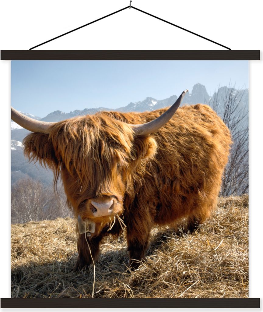MuchoWow Textilposter Schottisches Hochlandrind - Berg - Schnee 90x90 cm mit schwarzem Rahmen - Magnetisches