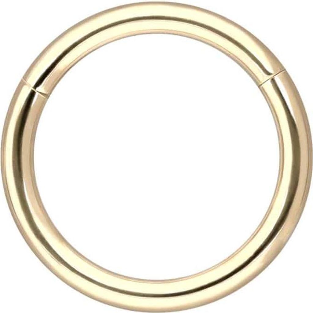 Ohrpiercing, Nasenpiercing, Septum Piercing 14/18 Karat Gold Segmentring Clicker 14 Karat | Gold Innendurchmesser: 9mm | Stabstärke: 1,2mm