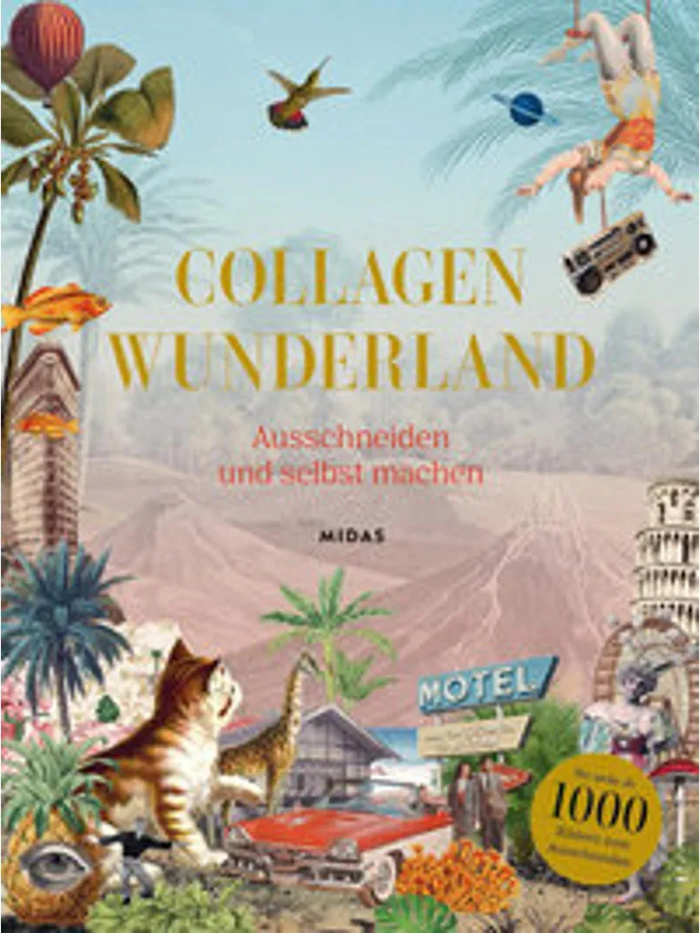 Collagène Wunderland Peptides Bioactifs Haute Absorption Boîte 500g