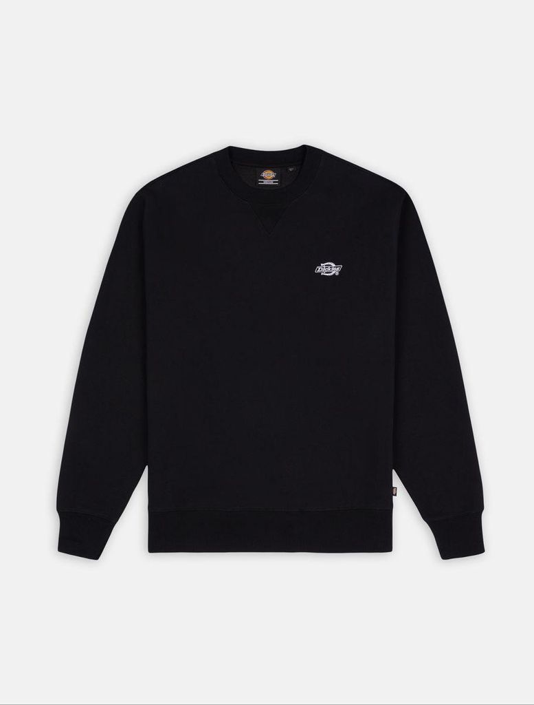 dickies felpa uomo dickies summerdale sweatshirt - dk0a4y6q Immagine del prodotto 