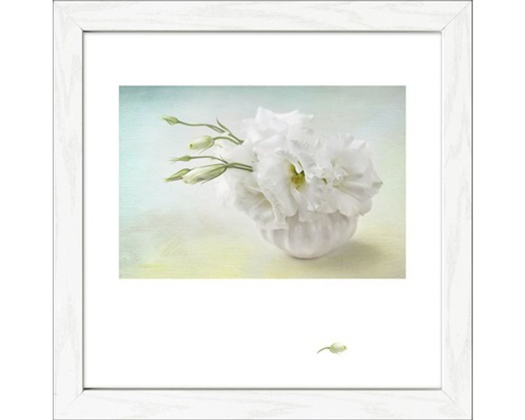 Gerahmtes Bild Blütenträume IV 35x35 cm