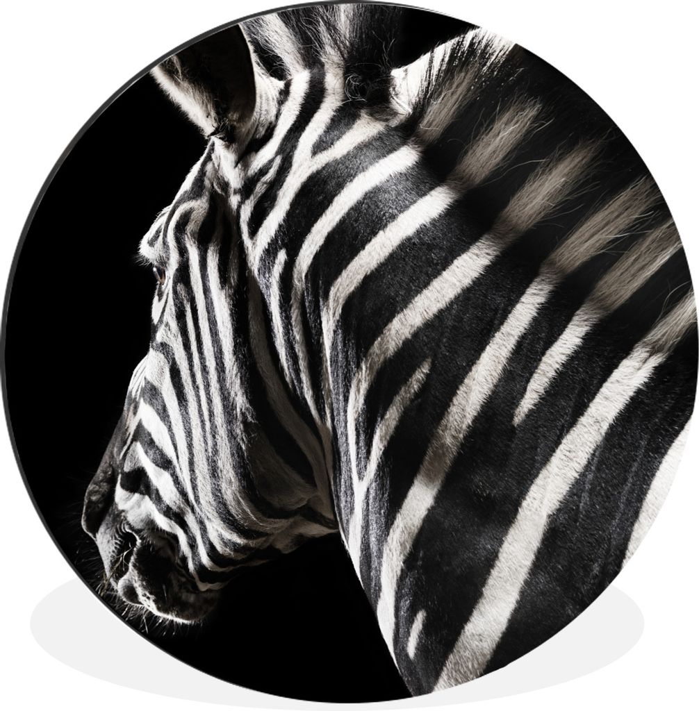 MuchoWow Aluminium Wandkreis Zebra - Tier - Schwarz - Porträt Ø 30 cm Wanddeko Modern Wohnzimmer - Wand Bild - Wohnzimmer - Runde Bilder - Alub...