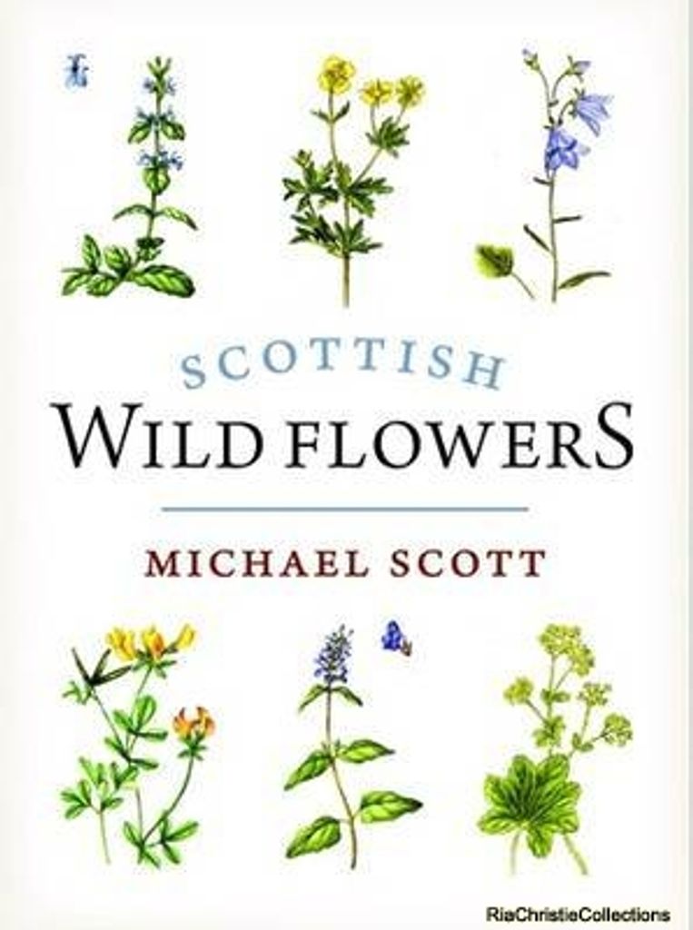 Scottish Wild Flowers